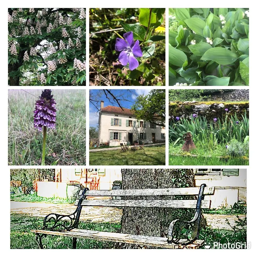 Limogne-en-Quercy Mas D'Aubrac B&B 0*,